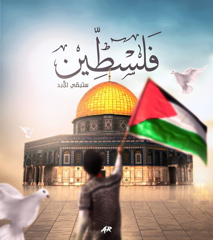 صورة المدرس