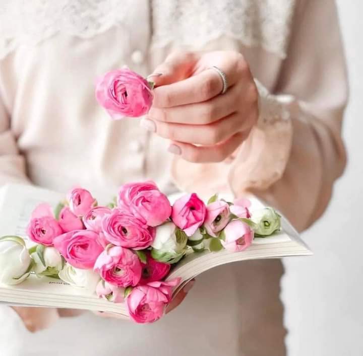 صورة المدرس